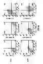 Fig. 09 - TG2 inhibitors and uses thereof