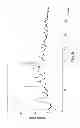 Fig. 09 - POLYMORPHS OF SAXAGLIPTIN HYDROCHLORIDE AND PROCESSES FOR PREPARING THEM