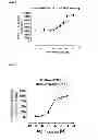 Fig. 07 - GPR 17 Agonists and Screening Assay