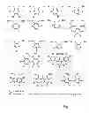 Fig. 05 - Method for selecting a candidate drug compound