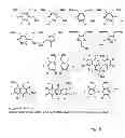 Fig. 07 - Method for selecting a candidate drug compound