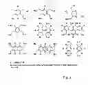 Fig. 09 - Method for selecting a candidate drug compound