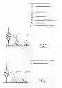 Fig. 02 - Method for simultaneously detecting an antigen of, and an antibody, against, an infectious microorganism