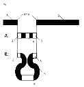 Fig. 02 - SELECTIVE MANUFACTURE OF RECOMBINANT NEUROTOXIN POLYPEPTIDES