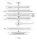 Fig. 06 - Method for Obtaining a Three-Dimensional Velocity Measurement of a Tissue