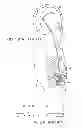 Fig. 02 - Self cleaning shunt