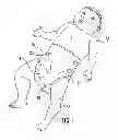 Fig. 02 - ADJUSTABLE DIAPER AND METHODS OF USING SAME