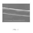 Fig. 08 - Pacemakers and pacemaker electrodes