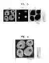 Fig. 03 - Method of forming mass image