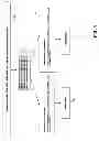 Fig. 07 - SYSTEM AND METHOD FOR CREATING AND SUPPLYING PARTICULAR DATA CONSTRUCTS IN EVALUATING WHETHER TO BUY OR SELL A TRADED SECURITY