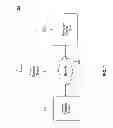 Fig. 02 - DIRECTING A DATA REPLICATION ENVIRONMENT THROUGH POLICY DECLARATION