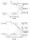 Fig. 04 - Data distribution system