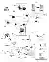Fig. 02 - System for managing resources accessible to a mobile device server