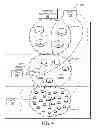 Fig. 09 - Assisted traffic engineering for minimalistic connected object networks