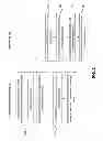 Fig. 04 - Optimizing for page sharing in virtualized java virtual machines