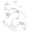 Fig. 01 - Fix delivery system