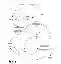 Fig. 05 - Fix delivery system