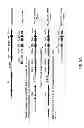 Fig. 04 - Humanized light chain mice