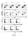 Fig. 15 - Humanized light chain mice