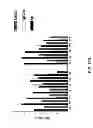 Fig. 23 - Humanized light chain mice