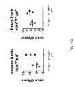Fig. 29 - Humanized light chain mice