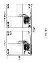 Fig. 30 - Humanized light chain mice