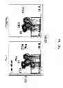 Fig. 32 - Humanized light chain mice