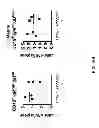 Fig. 38 - Humanized light chain mice