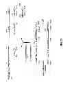 Fig. 46 - Humanized light chain mice
