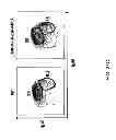 Fig. 53 - Humanized light chain mice