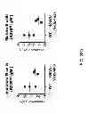 Fig. 58 - Humanized light chain mice