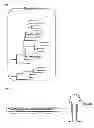 Fig. 03 - Gemini virus replication inhibitor