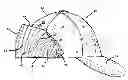 Fig. 01 - Headgear attachment for portable audio device