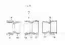 Fig. 08 - SHOWER APPARATUS