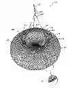 Fig. 01 - Collapsible Crustacean Trap