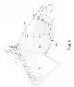 Fig. 02 - ANIMAL HALTER