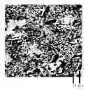Fig. 01 - PERMEABLE MATERIAL, ARTICLES MADE THEREFROM AND METHOD OF MANUFACTURE