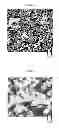 Fig. 02 - PERMEABLE MATERIAL, ARTICLES MADE THEREFROM AND METHOD OF MANUFACTURE
