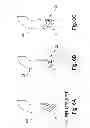 Fig. 07 - Extended turbine blade