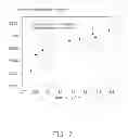 Fig. 09 - Method for making carbon nanotube paper
