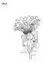 Fig. 03 - ORNAMENT FOR PLANT