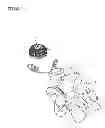 Fig. 05 - ORNAMENT FOR PLANT