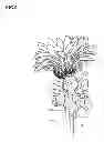 Fig. 07 - ORNAMENT FOR PLANT