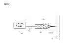 Fig. 08 - ORNAMENT FOR PLANT