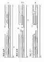 Fig. 23 - Semiconductor device and manufacturing method thereof