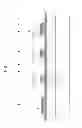 Fig. 07 - Organic light-emitting display apparatus and method of manufacturing organic light-emitting display apparatus