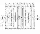 Fig. 09 - Insulated gate bipolar transistor structure having low substrate leakage
