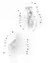Fig. 03 - Front end device for a vehicle with a single steered front wheel and vehicle equipped with such a front end device