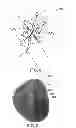 Fig. 08 - Apparatus and methods for adjusting a texture wrapped onto the surface of a virtual object