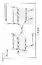 Fig. 04 - METHOD FOR TESTING LIGHT-EMITTING DIODES USING DIGITAL IMAGES